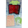 KIT BASICO  PARA PRACTICA DISECCION